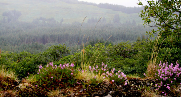 Roadtrip Schottland-Teil 2