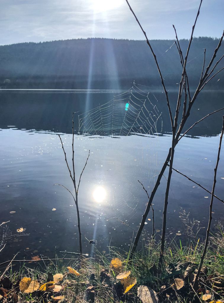 Schwarzwald - Ein Kurztrip an den Titisee