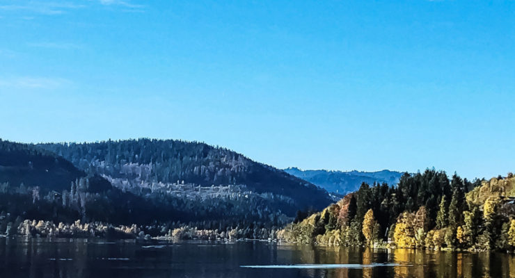 Schwarzwald - Ein Kurztrip an den Titisee